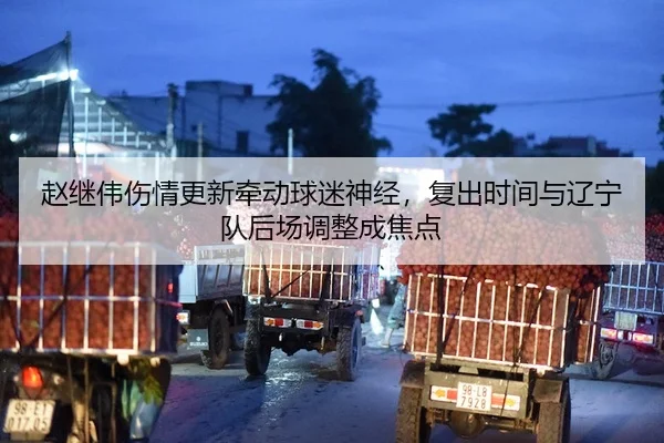 zhao-ji-wei-shang-qing-geng-xin-qian-dong-qiu-mi-shen-jing-fu-chu-shi-jian-yu-liao-ning-dui-hou-chang-tiao-zheng-cheng-2-380.jpg